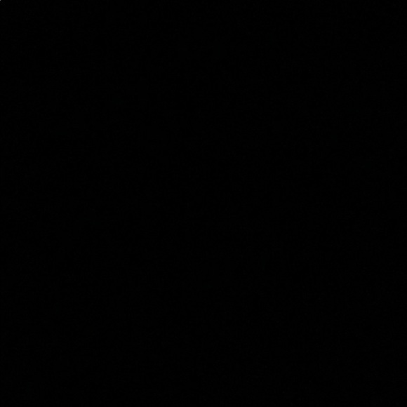 Meet your Posher, Alisha - Picture 1 of 1